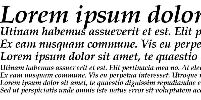 Sample of Palladius Bold Italic