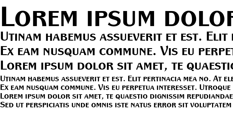 Sample of PanacheSCITC Bold