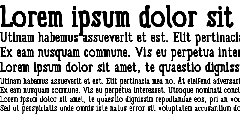 Sample of Panforte Serif Bold