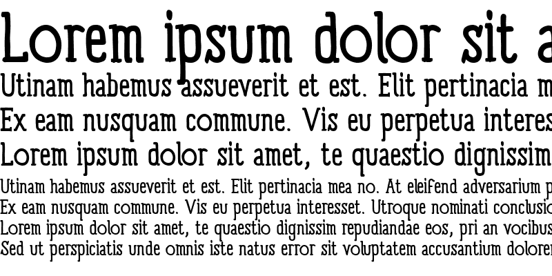 Sample of Panforte Serif