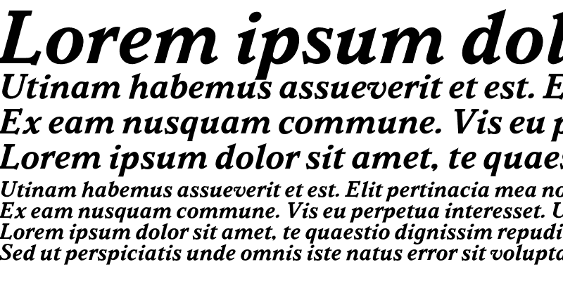 Sample of Parkinson Bold Italic