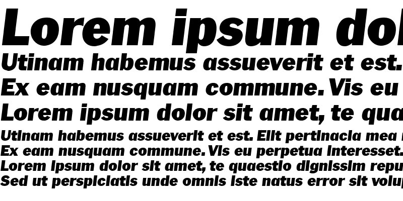 Sample of Pasch Display SSi Italic