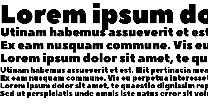 Sample of Peace Sans