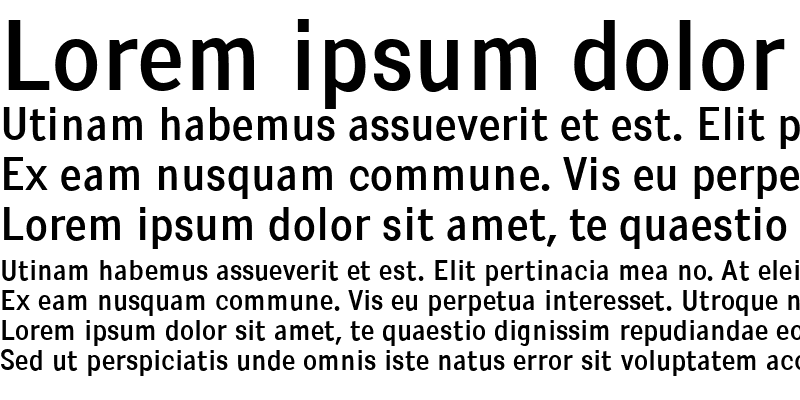 Sample of Pentay Sans