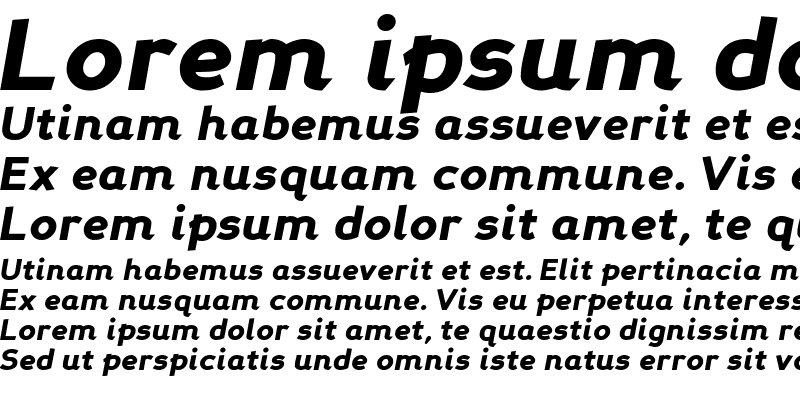 Sample of Perspective Sans Black Italic