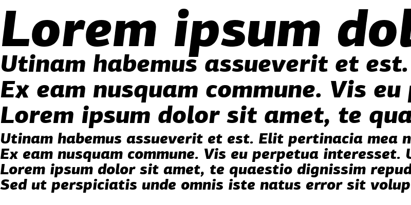 Sample of PF Agora Sans Pro Black Italic