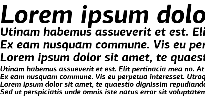 Sample of PF Agora Sans Pro Bold Italic
