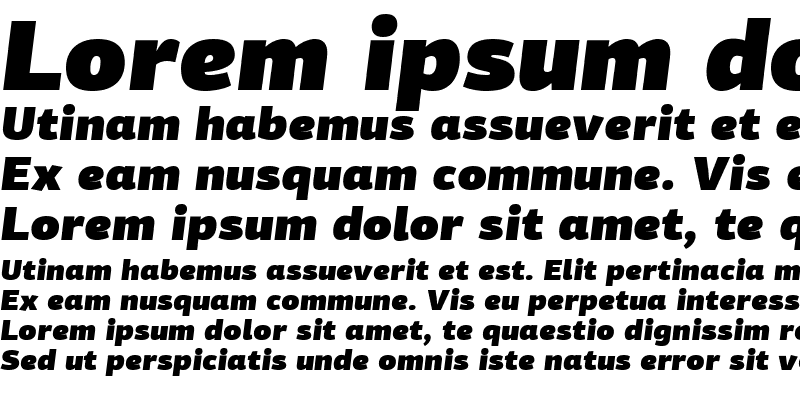 Sample of PF Agora Sans Pro UltraBlack Italic