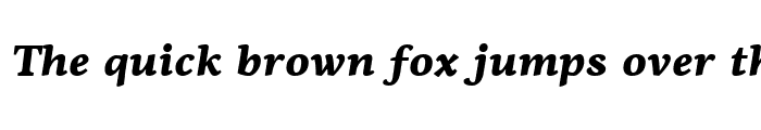 Preview of PF Agora Serif Pro Black Italic
