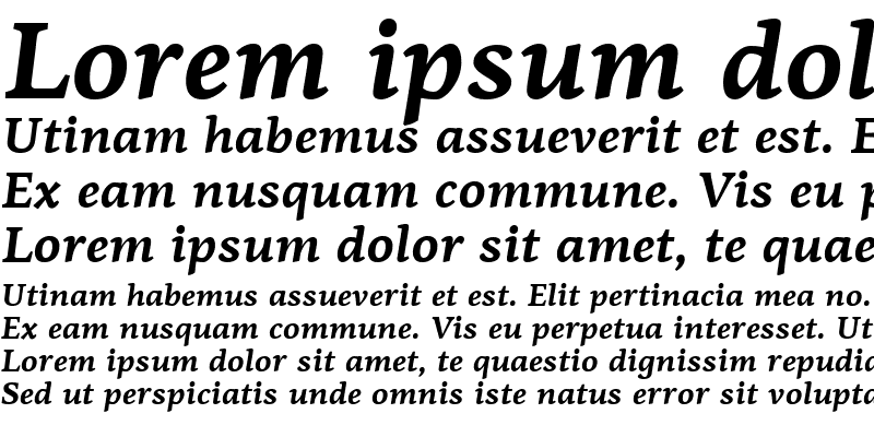 Sample of PF Agora Serif Pro Bold Italic