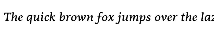 Preview of PF Agora Serif Pro Medium Italic
