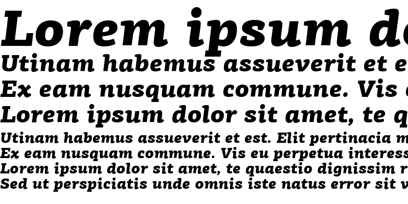 Sample of PF Agora Slab Pro Black Italic