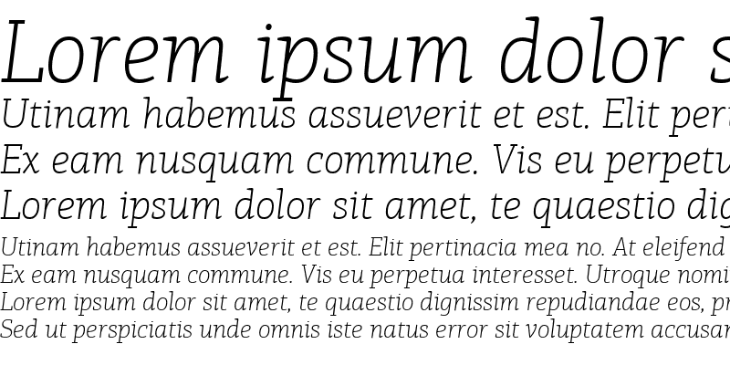 Sample of PF Agora Slab Pro Thin Italic