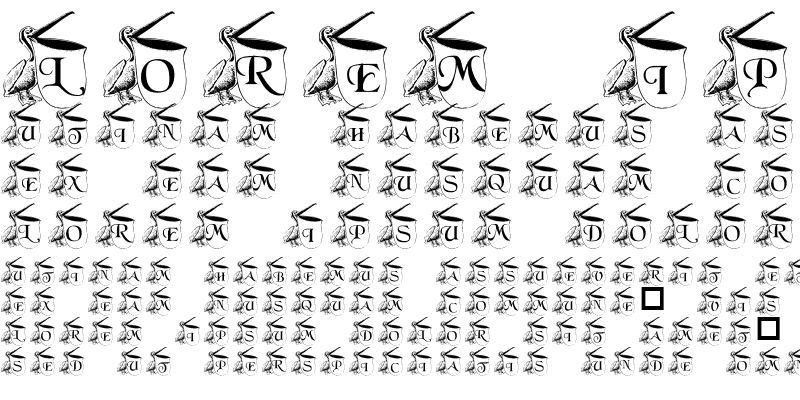 Sample of pf_pelican1 Regular