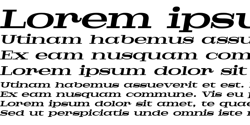 Sample of Pigeon PERSONAL Bold Italic