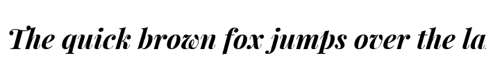 Preview of Playfair Display Bold Italic