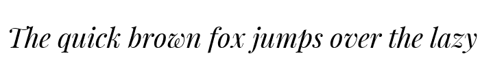 Preview of Playfair Display Italic