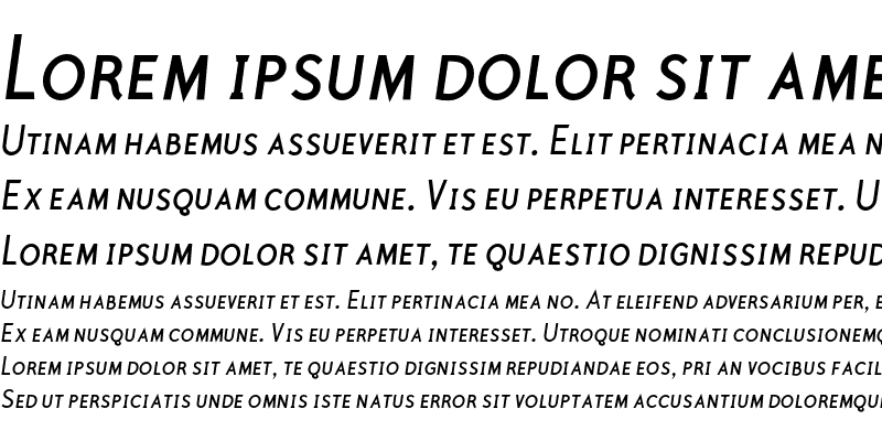 Sample of PolymerBookCapsItalic