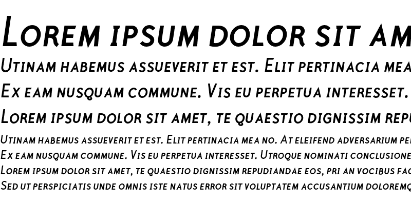 Sample of PolymerMediumCapsItalic