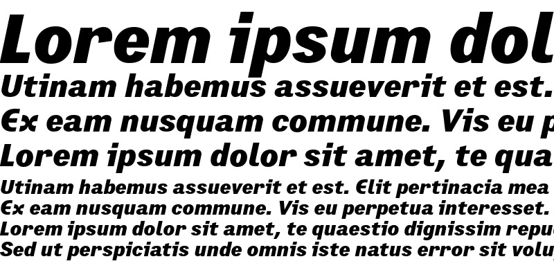 Sample of PrefaceBlack Italic