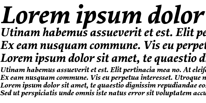 Sample of Proforma Bold Italic