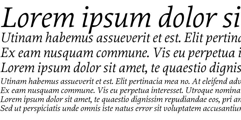 Sample of Proforma Book Italic