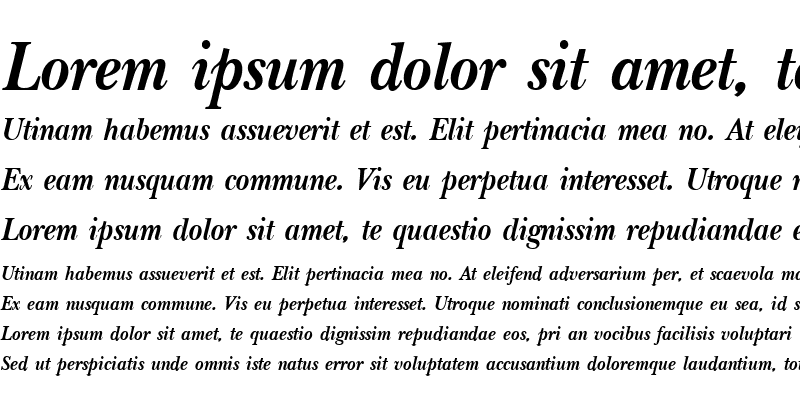 Sample of PSL-Irene Bold Italic