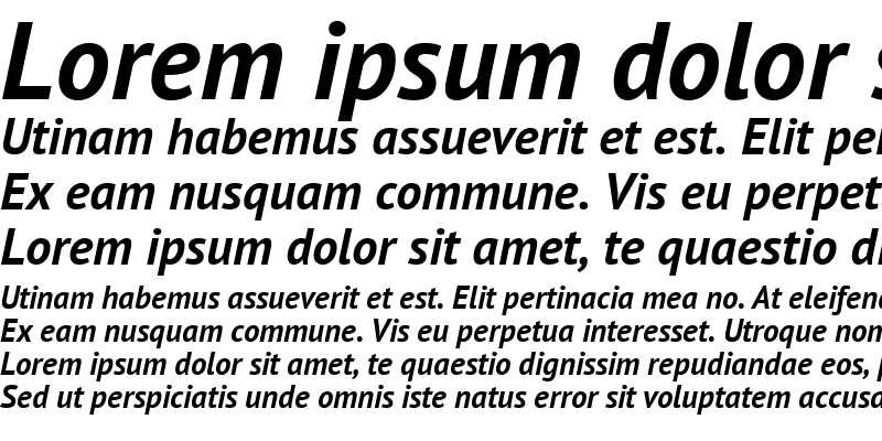 Sample of PT Sans Bold Italic