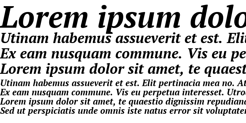 Sample of PT Serif Bold Italic