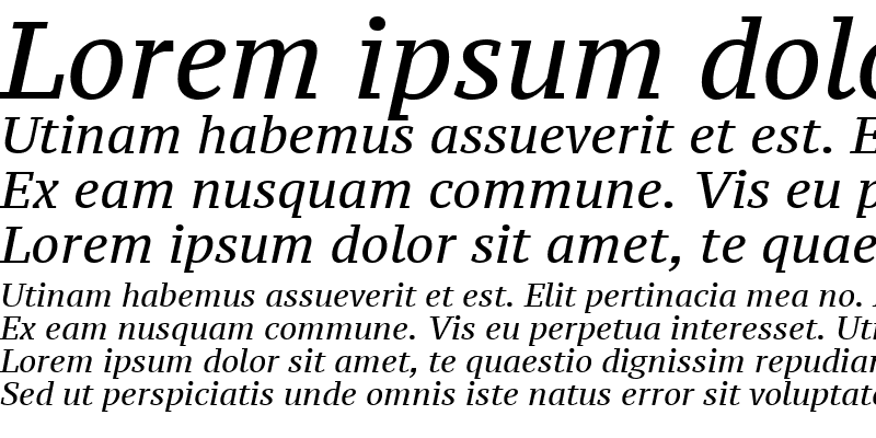 Sample of PT Serif Caption Italic