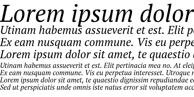 Sample of PT Serif Italic