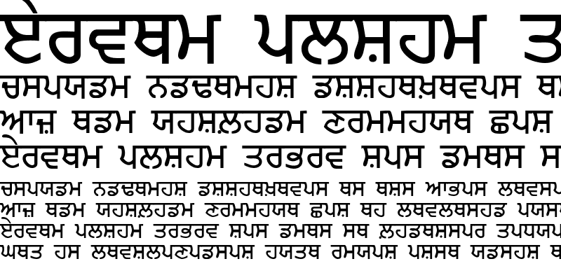 Sample of Punjabi Bold