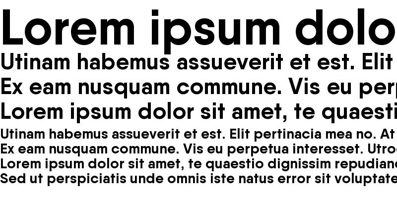 Sample of Qanelas Bold