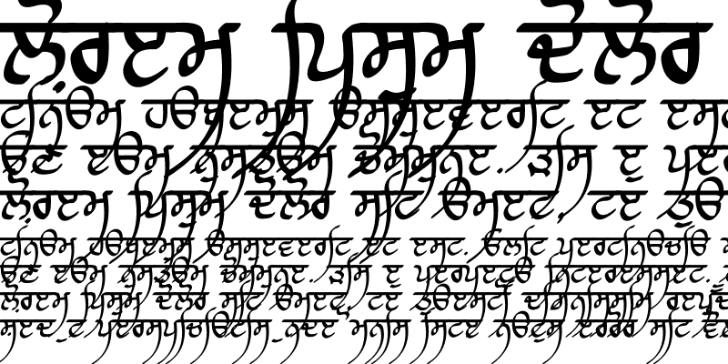 Sample of Raaj Script Medium