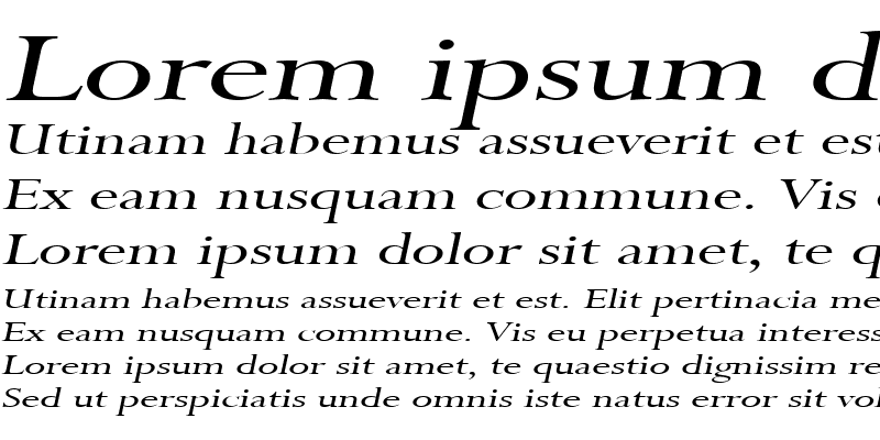 Sample of Rapid Extended Italic