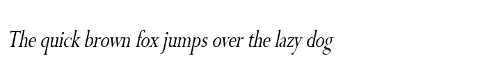 Preview of Rapid Thin Italic