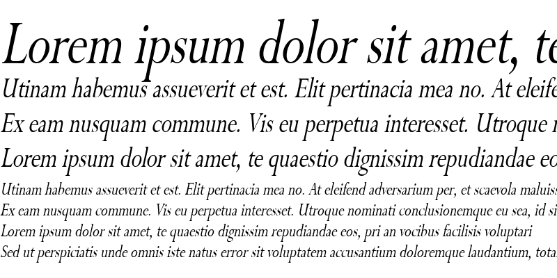 Sample of RapidThin Italic