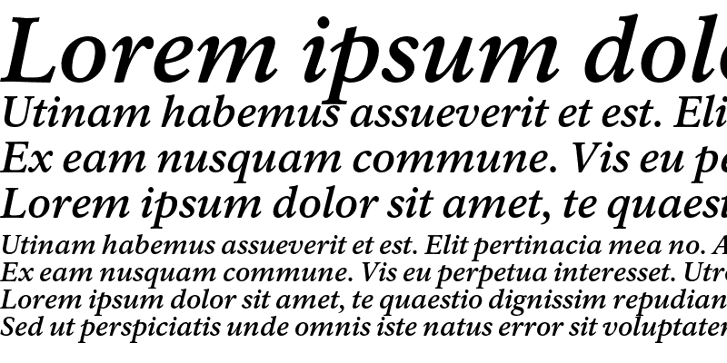 Sample of Rawlinson Bold Italic