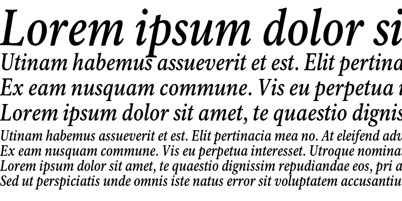 Sample of Rawlinson Cond Medium Italic