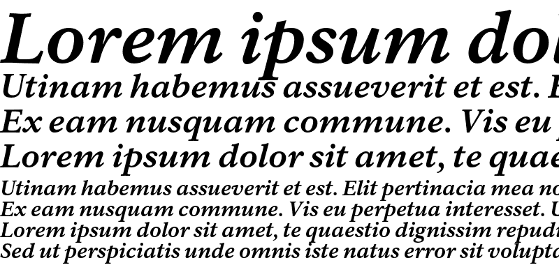 Sample of Rawlinson Heavy Italic