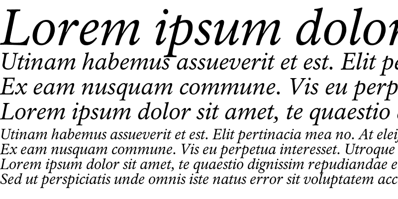 Sample of Rawlinson Italic