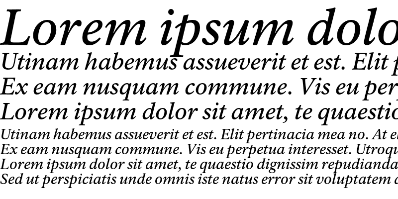 Sample of Rawlinson Medium Italic