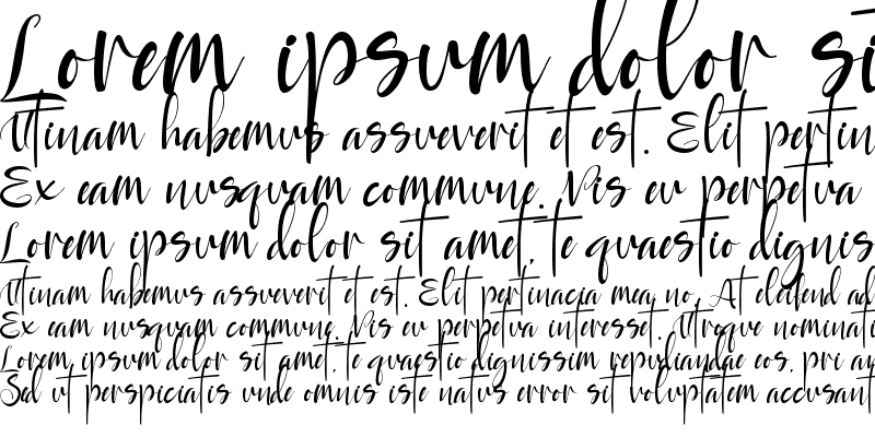 Sample of Rayya Regular