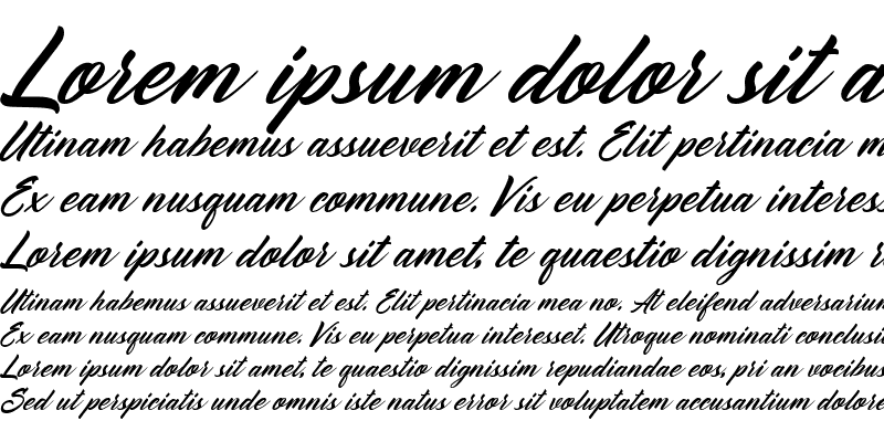Sample of Reflisatta Italic
