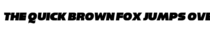 Preview of Reisenberg Italic