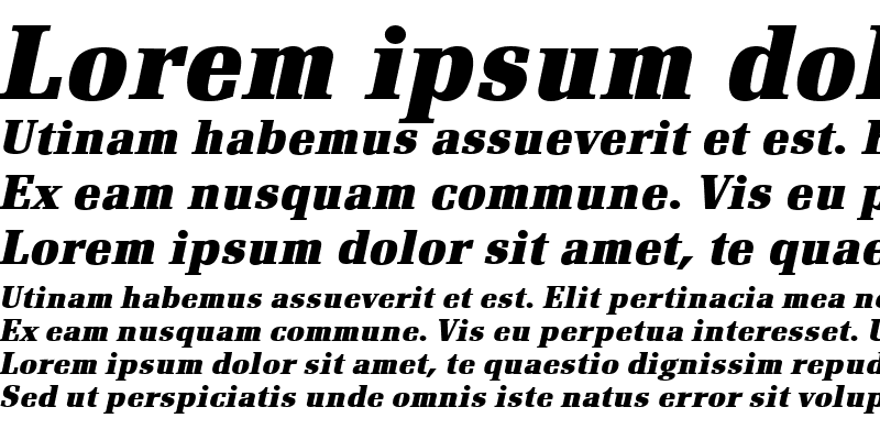 Sample of RenaultTEEBol Italic