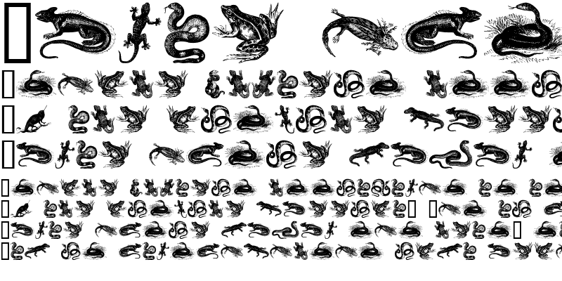 Sample of reptiles I