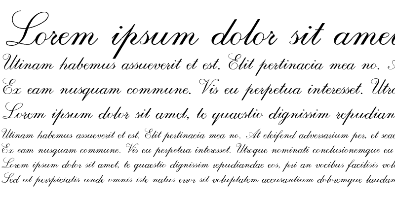 Sample of RespighiOpti Script