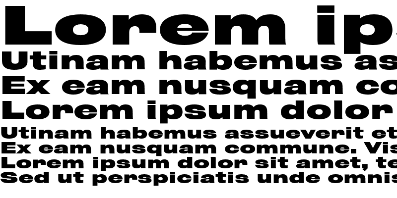 Sample of Rhode Extended Bold