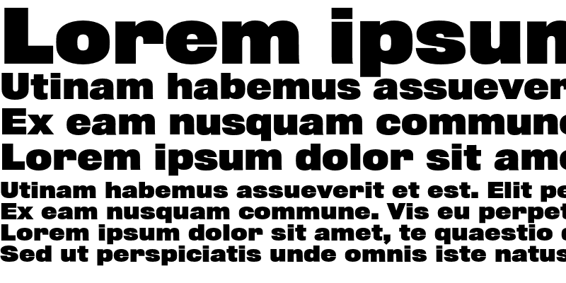 Sample of Rhode Normal Bold